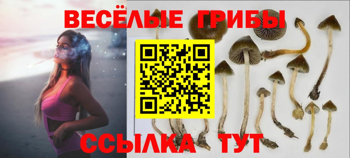 Псилоцибиновые грибы Psilocybe  Псилоцибиновые грибы ЛСД  Тельмана  Вход с VPN 